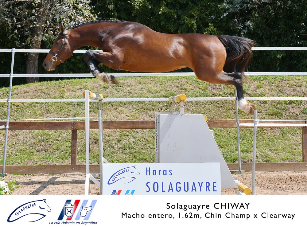 SOLAGUAYRE CHIWAY